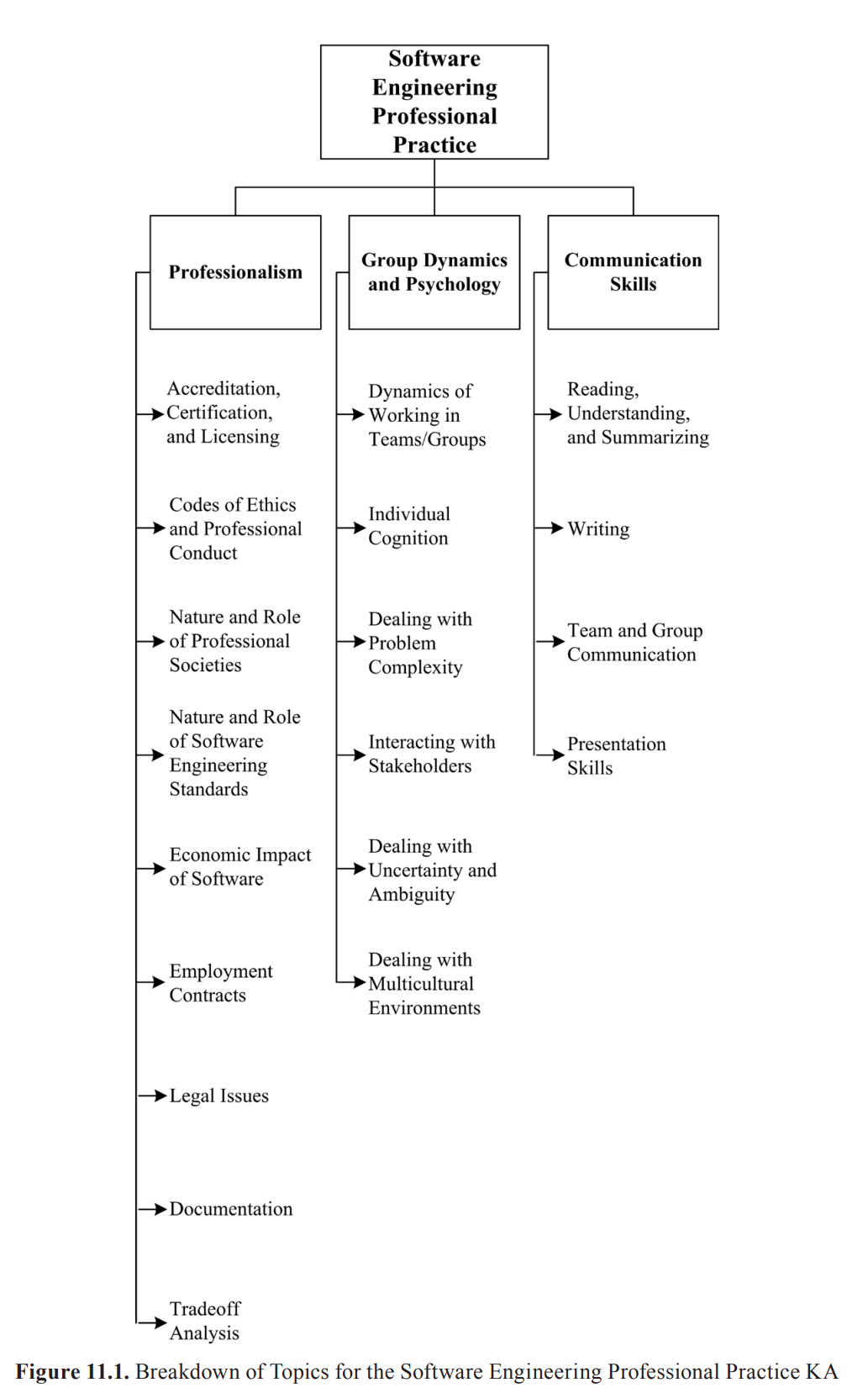 11.Software Engineering Professional Practice